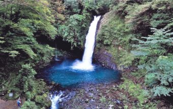 伊豆半島をドライブするなら、歌に歌われたあの滝を見に行こう！「浄蓮（じょうれん）の滝」
