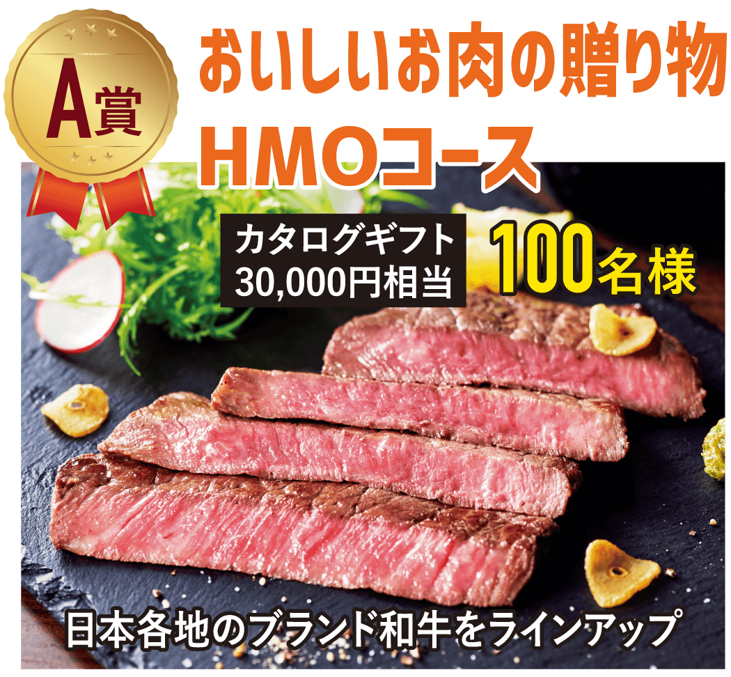 A賞 おいしいお肉の贈り物HMOコース カタログギフト30,000円相当 100名様