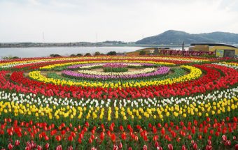愛知県田原市にある四季の花と緑に囲まれた体験型の農業公園『サンテパルクたはら』。体験プログラムを楽しんだり、地元食材の料理をバイキングで味わったり！