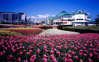 四季折々の花が咲く花畑も人気！新潟の特産品（なんと1万点！）と郷土料理が集結した『道の駅 新潟ふるさと村』