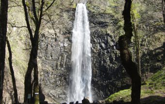 山形県一の落差を誇る豪快かつ美しい名瀑「玉簾（たますだれ）の滝」