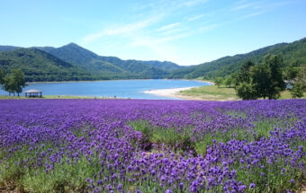 キャンプやカヌーを楽しもう！北海道のアウトドアレジャーの拠点のひとつ「かなやま湖」