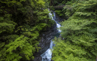 エメラルドグリーンの渓流に沿って関西屈指のハイキングコースを歩こう！「みたらい渓谷」