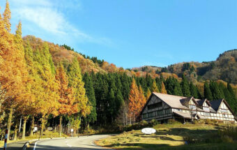 石川県白山市にある心癒される場所「ハーブの里・響きの森　ミントレイノ」